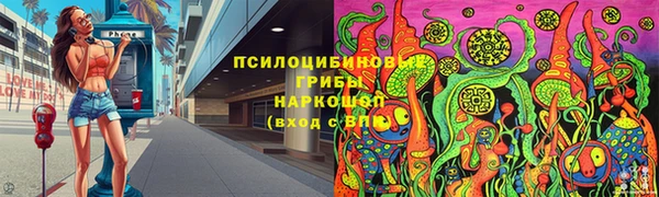 первитин Богданович